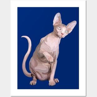 Elegant Sleek and Curious Sphynx Cat Posters and Art